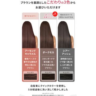 クレイエンス クレイスパ クイックカラー clayence シアーアッシュ　新品(カラーリング剤)