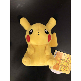 マイピカチュウ　ぬいぐるみ　困り顔　メス　太め　My PIKACHU