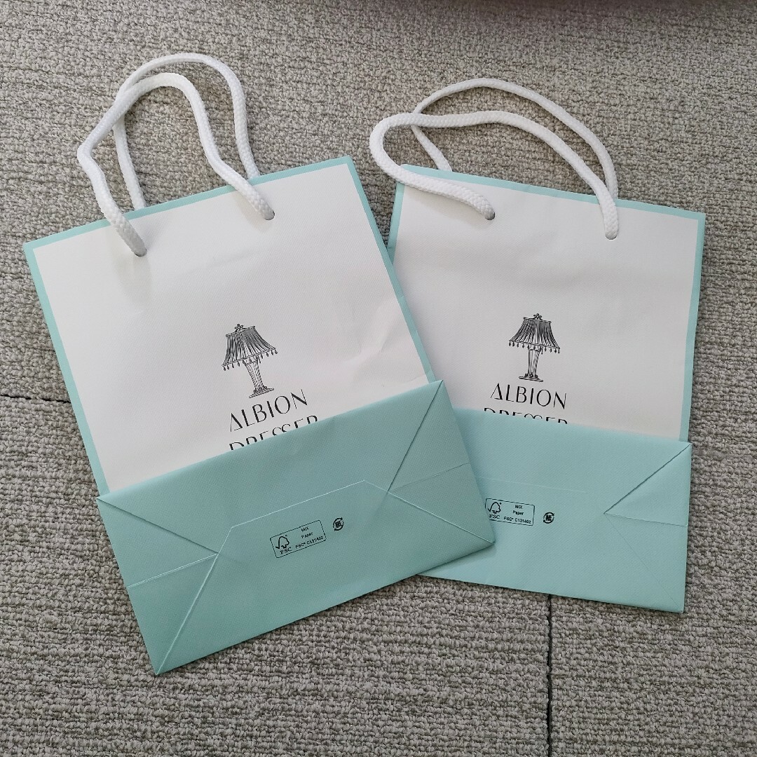 2枚セット ALBION 紙袋 ショップ袋 ショッパー アルビオン