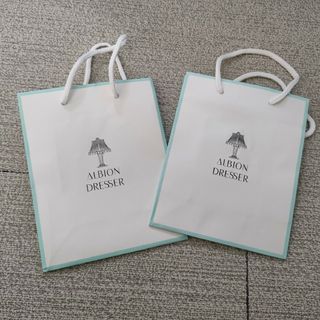 2枚セット ALBION 紙袋 ショップ袋 ショッパー アルビオン