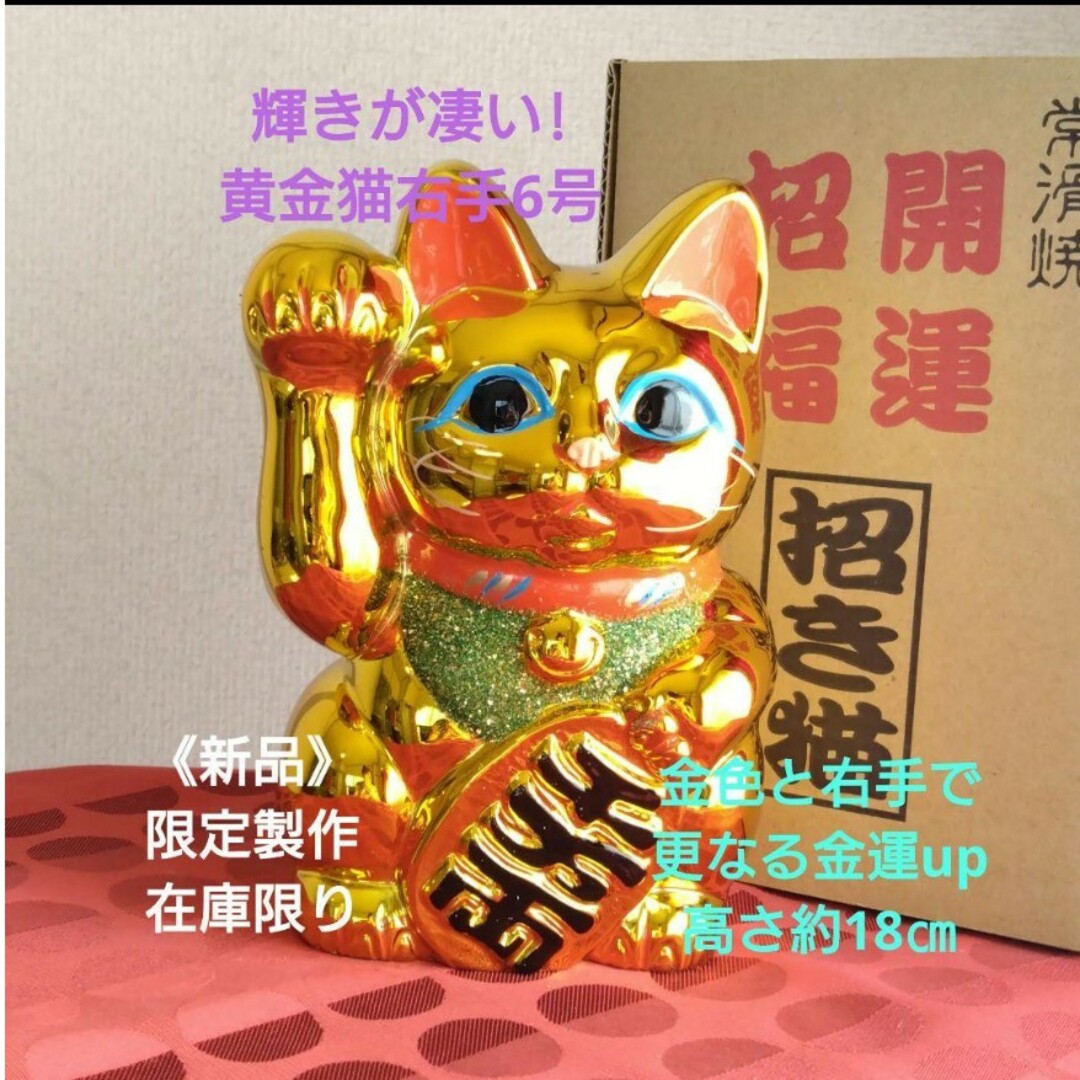 限定値引中✨最強金運 招き猫☆黄金色猫右手上げ6号・限定製作在庫わずかのサムネイル