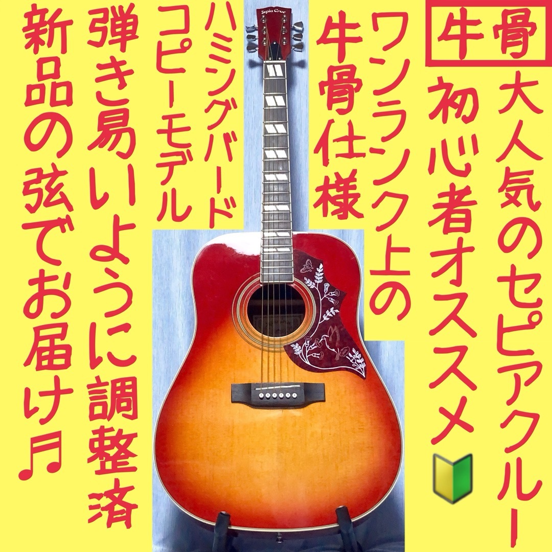 TOKAI ハミングバード アコースティックギター M W-250 ケース付き