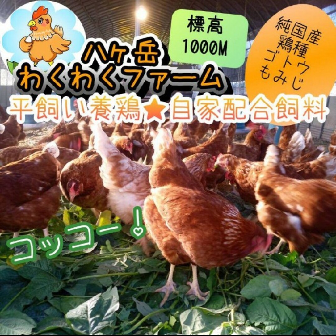 平飼い卵10個入り3パック　国産もみじの卵　新鮮　産みたて 食品/飲料/酒の食品(野菜)の商品写真