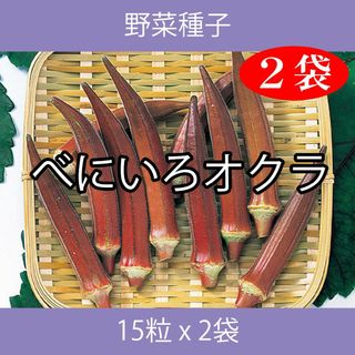 野菜種子 EAT べにいろオクラ 15粒 x 2袋(野菜)