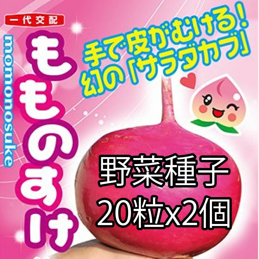 野菜種子 EAU もものすけ(サラダカブ) 20粒 x 2個 食品/飲料/酒の食品(野菜)の商品写真