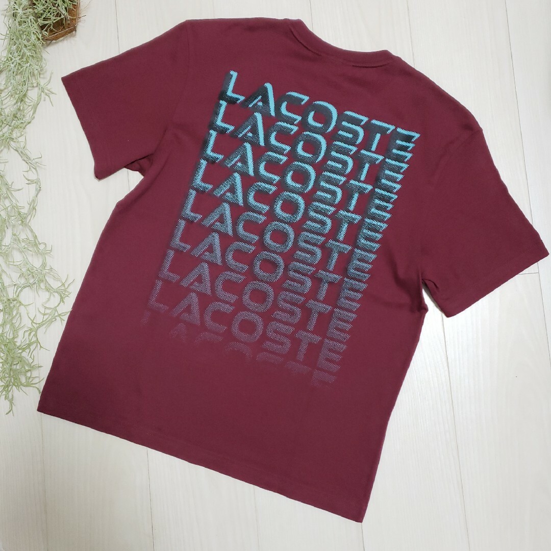 LACOSTE(ラコステ)のLACOSTE　2023年秋物　ロゴ入りTシャツ メンズのトップス(Tシャツ/カットソー(半袖/袖なし))の商品写真