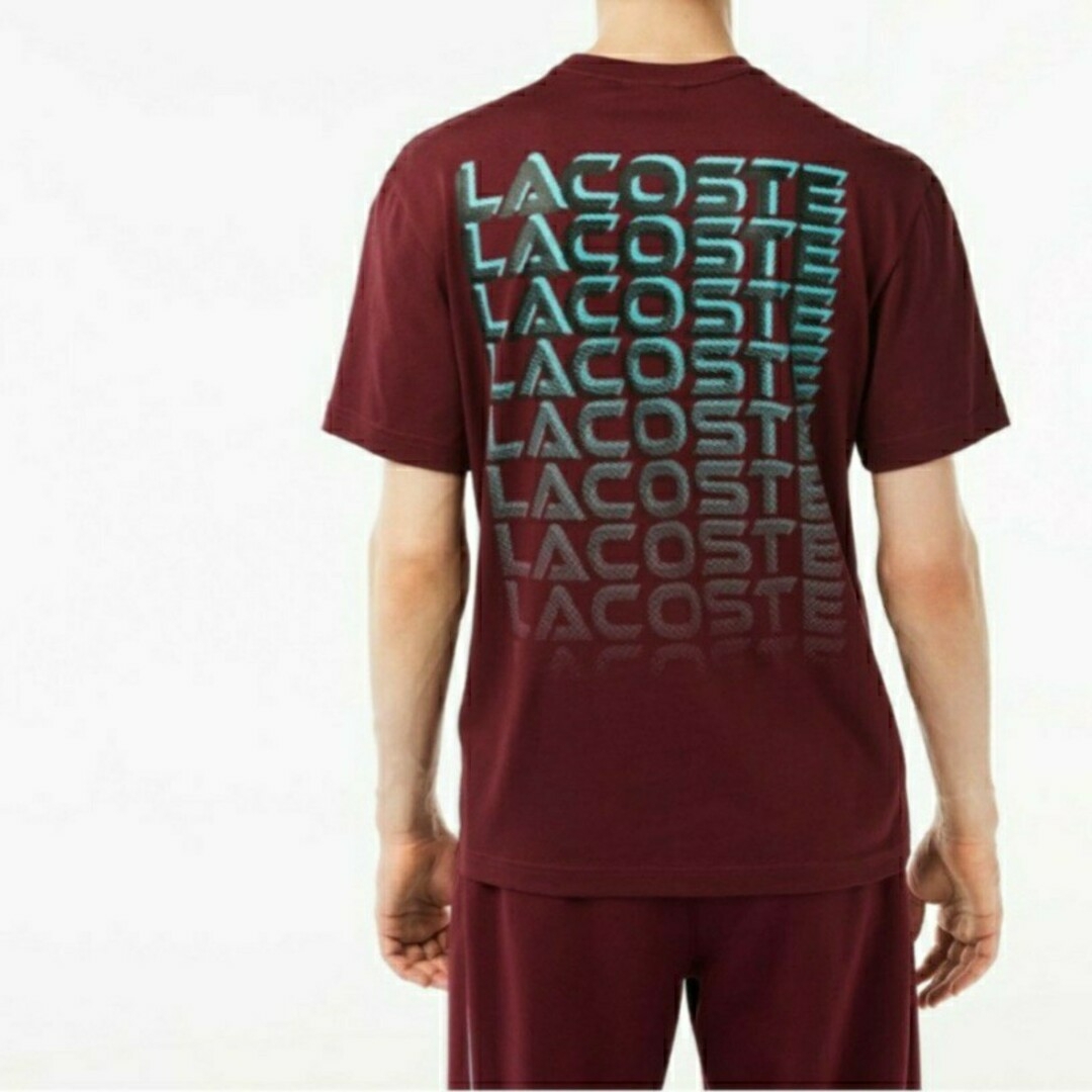 LACOSTE(ラコステ)のLACOSTE　2023年秋物　ロゴ入りTシャツ メンズのトップス(Tシャツ/カットソー(半袖/袖なし))の商品写真