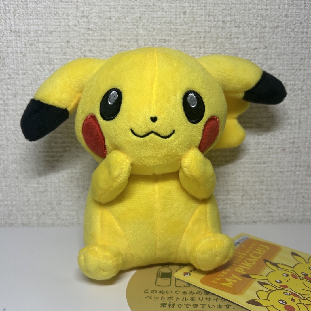 ポケモン　ぬいぐるみ　マイピカチュウ  2種　レア物　うる目　垂れ耳