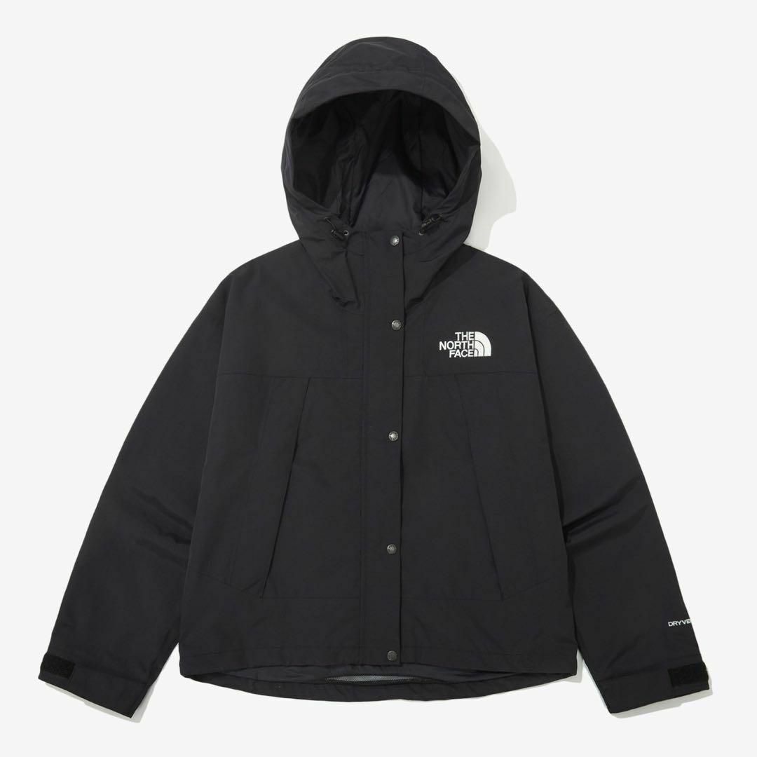 THE NORTH FACE マウンテンパーカー ジャケット M 海外限定