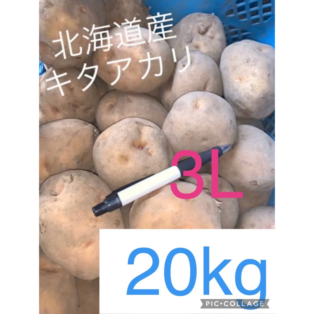 【特大】北海道産じゃがいもキタアカリ20kg