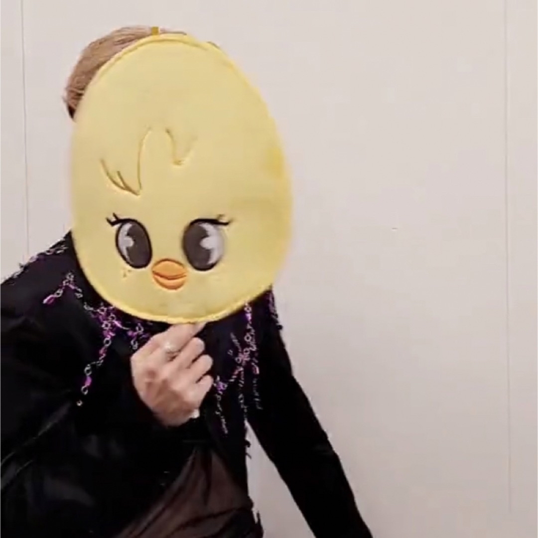 未開封 stray kids ミニぬい ポガリ フィリックス ボカリ ペンミ