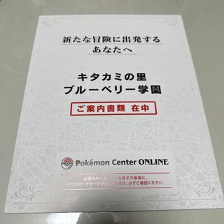 ポケモン(ポケモン)のポケットモンスター　ゼロの秘宝　ダウンロードカード　ポケモン　追加コンテンツ(ゲーム)