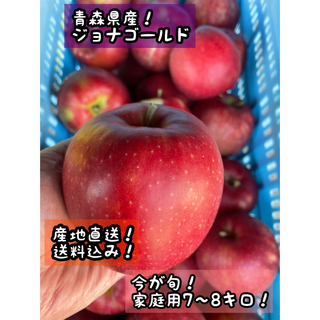 青森直送　りんご　ジョナゴールド　果物　林檎7〜8キロ(フルーツ)
