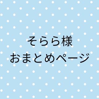 チイカワ(ちいかわ)のちいかわ　ハチワレ　うさぎ　モモンガ　ルームウェア　Lサイズ　ルームワンピース(キャラクターグッズ)