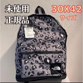 ザノースフェイス(THE NORTH FACE)の【新品未使用】バックパック リュック/ NM2DN51(リュック/バックパック)