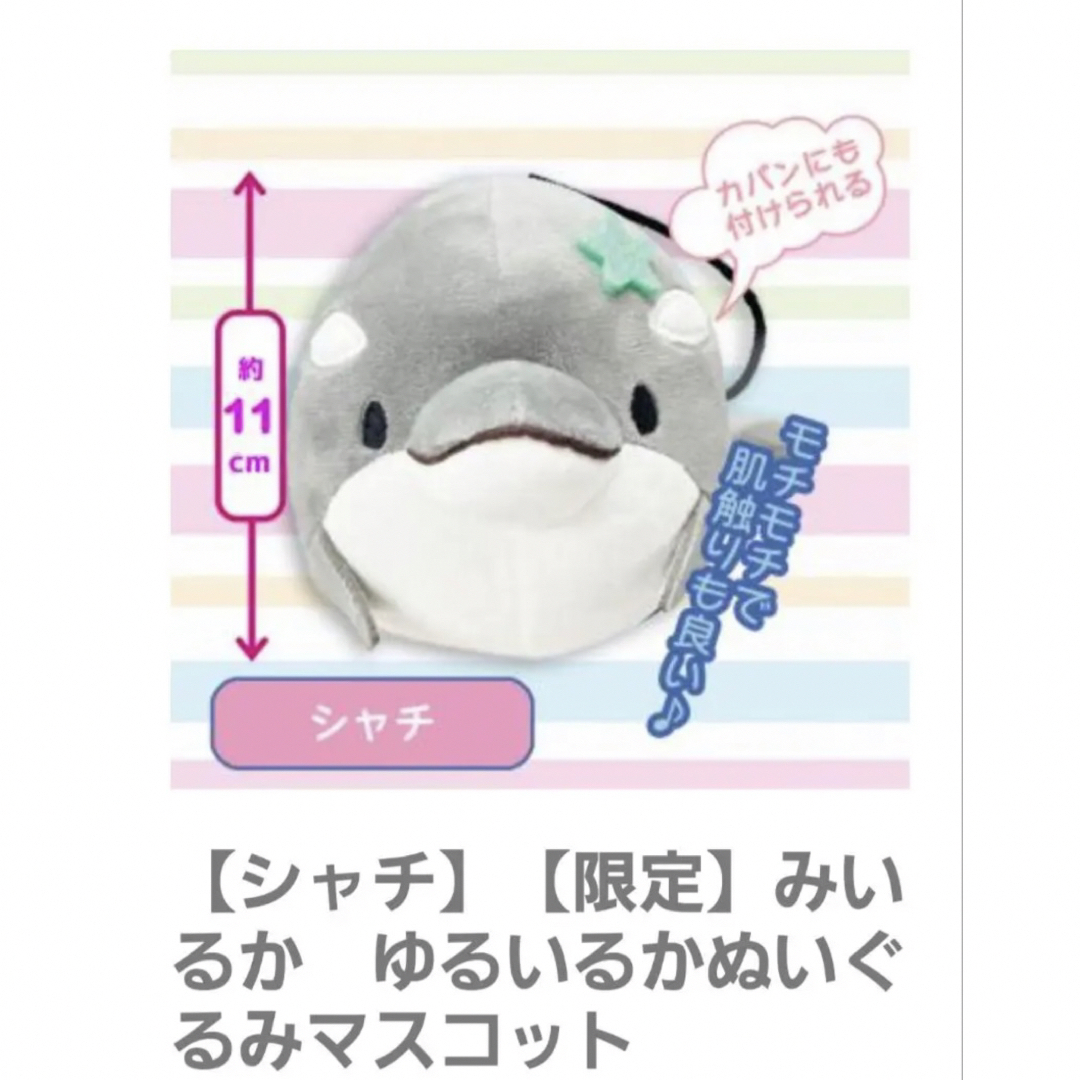 みいるか ゆるいるか 6種セットの通販 by fujisaki s shop|ラクマ