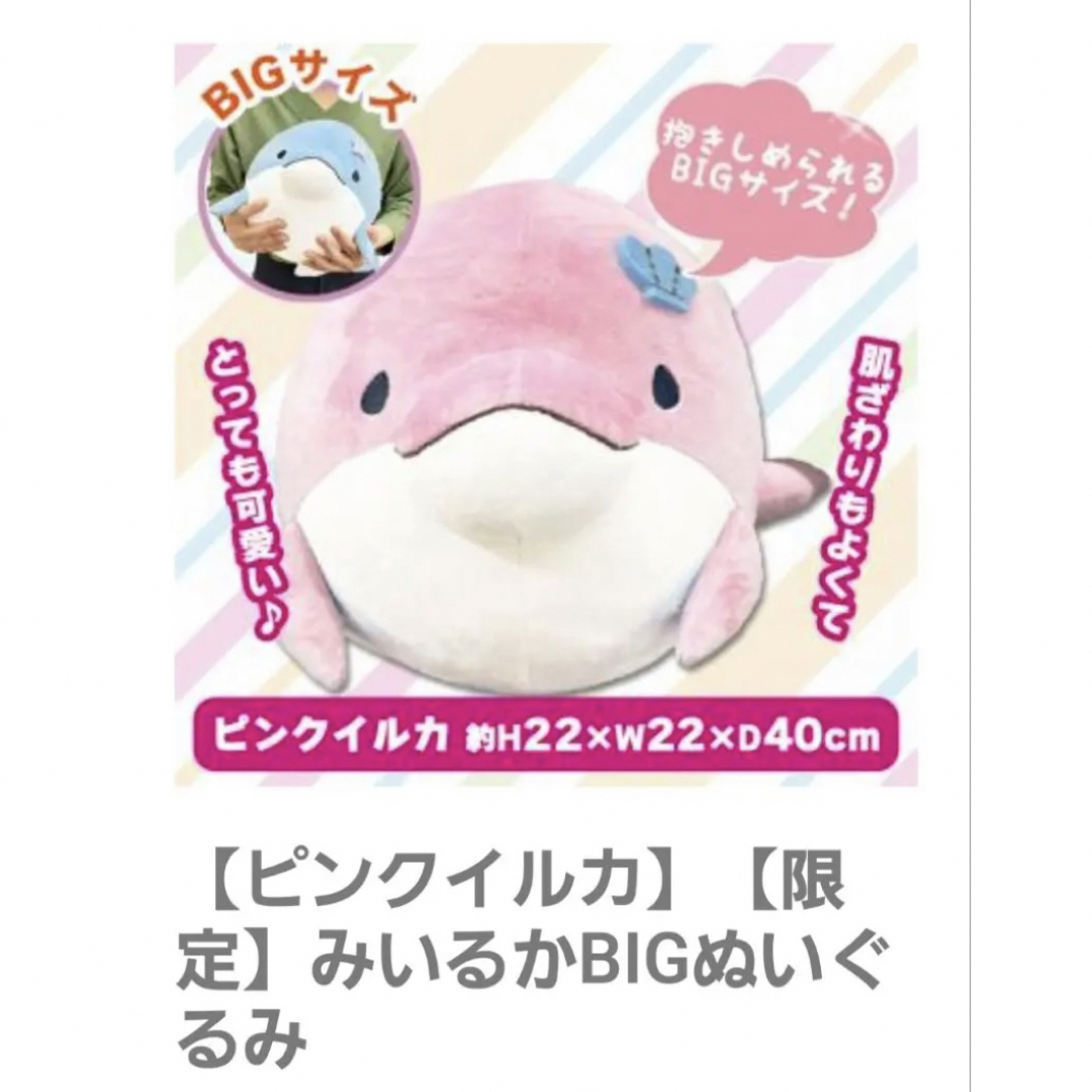 みいるか ゆるいるか 6種セットの通販 by fujisaki s shop|ラクマ