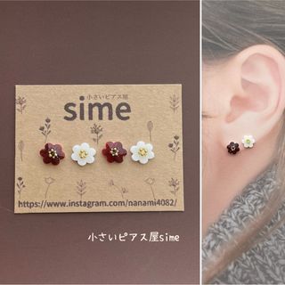 小さいお花のピアス　ブラウン　ホワイト　シンプル　樹脂ピアス　イヤリング　小ぶり(ピアス)