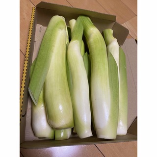 秋田産のマコモダケ　 南外マコモダケ　　１kg＋ 甘さがあって美味しいです(野菜)