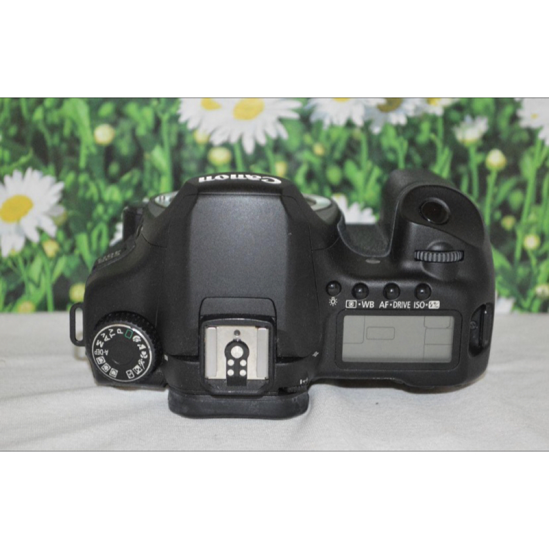 ❤キャノン Canon Eos 40D❤キャノン デジタル一眼レフ❤ 5