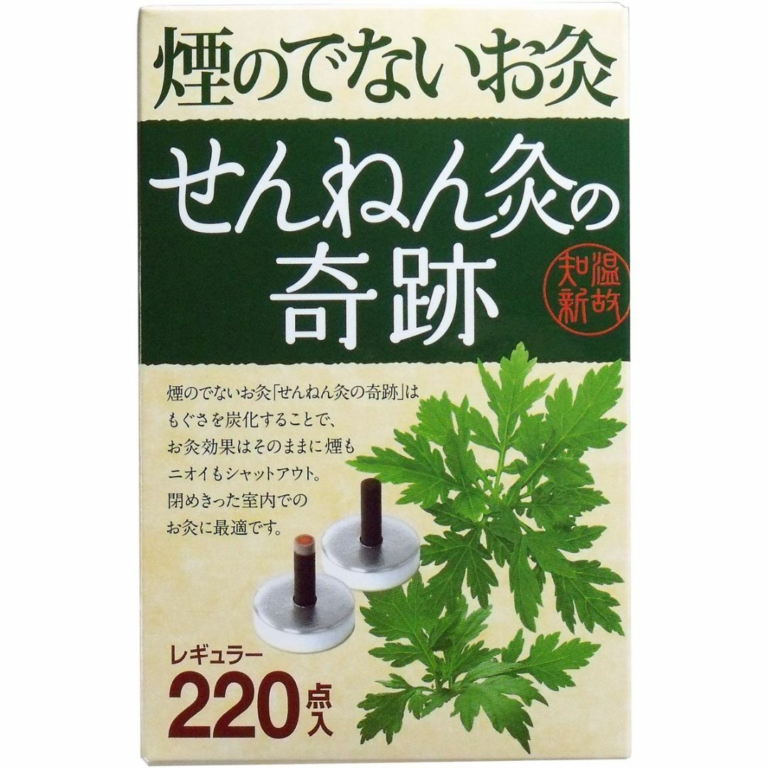 【2個セット】煙のでないお灸 せんねん灸の奇跡 レギュラー 220点入