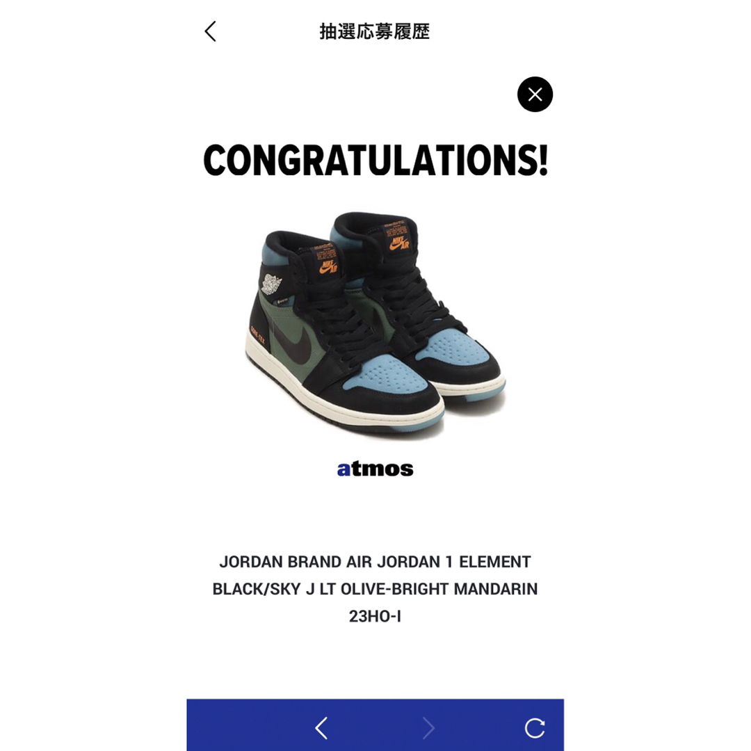 Nike Air Jordan 1 Element GORE-TEX