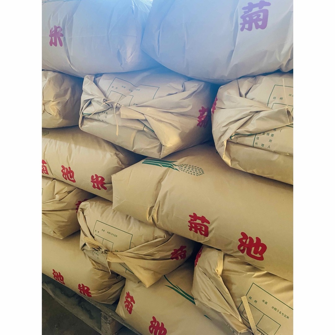 数量限定 令和5年度 新米 ヒノヒカリ 菊池米 無農薬 25kg 売り尽 2880