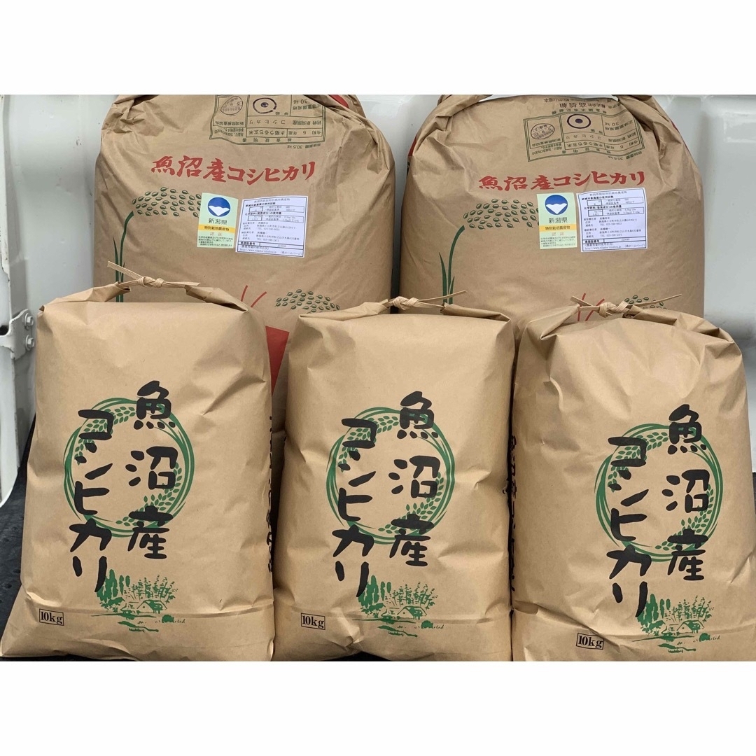 爆売り! お米10キロ 白米 新潟産 コシヒカリ 1等米 農家直送