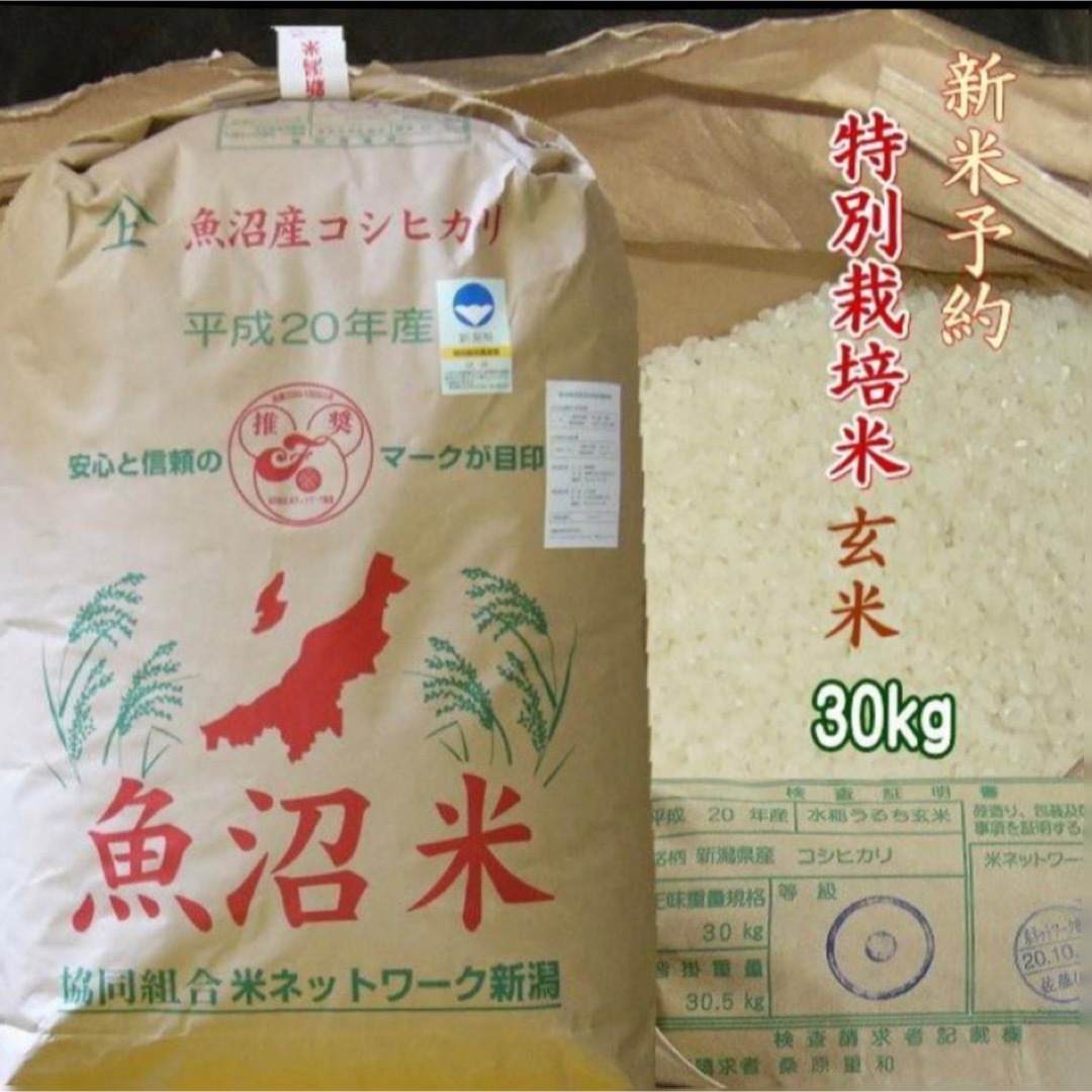 新米１等米小分け　特別栽培米　玄米　魚沼コシヒカリ30kg（10k×3）精米無料