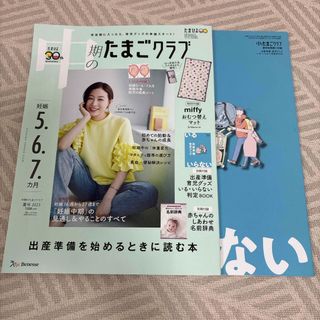 ベネッセ(Benesse)の中期のたまごクラブ 2023年 08月号 [雑誌]/ベネッセコーポレーション(結婚/出産/子育て)