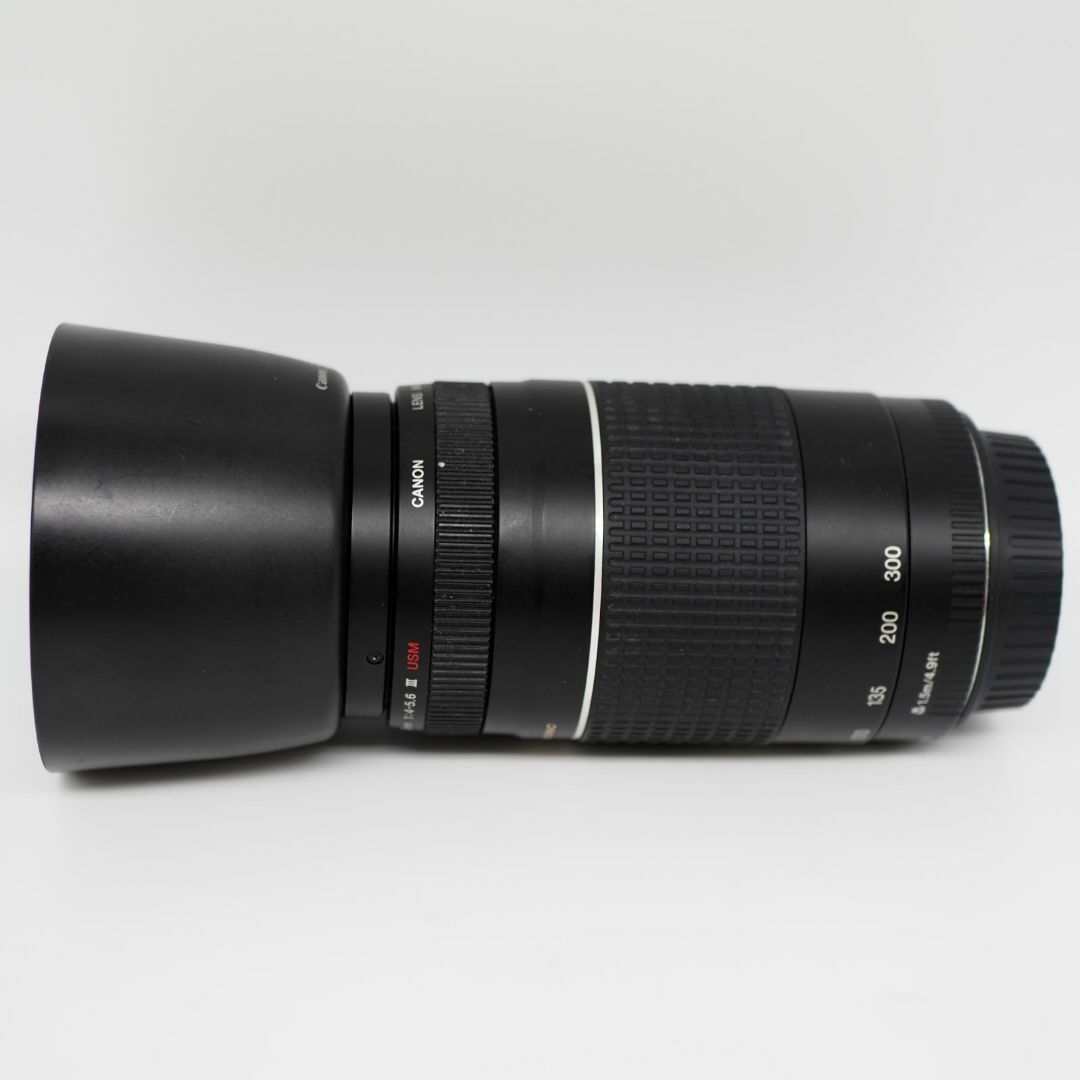 ■極上品■ CANON EF 75-300mm f/4-5.6 III