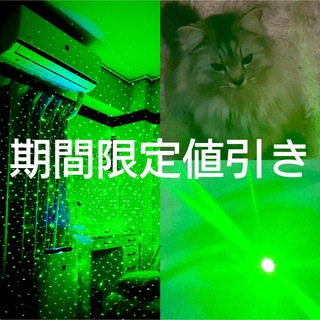赤と緑 2本LEDペンライト　レーザー　ポインター　カラス駆除  猫おもちゃ　C(猫)