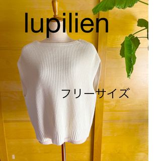 lupilien ニットベスト　サイズF(ベスト/ジレ)