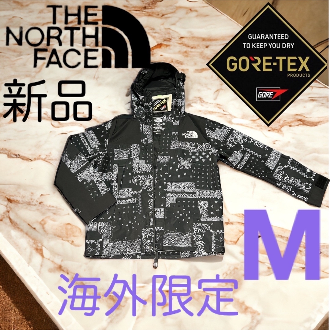 韓国限定！　Novelty Eco GTX Mountain Jacket