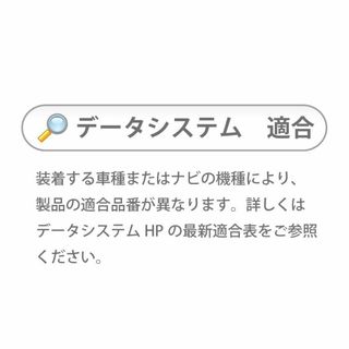 データシステム テレビキット 切替タイプ 日産アリア用 NTV431 Datasの