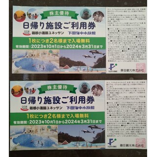 最新　第一興商　株主優待　10000円分　23/7/1～23/12/31まで