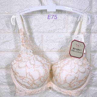 トリンプ(Triumph)のトリンプ　プレミアム　レッドレーベル0089  ブラジャー　E75(ブラ)