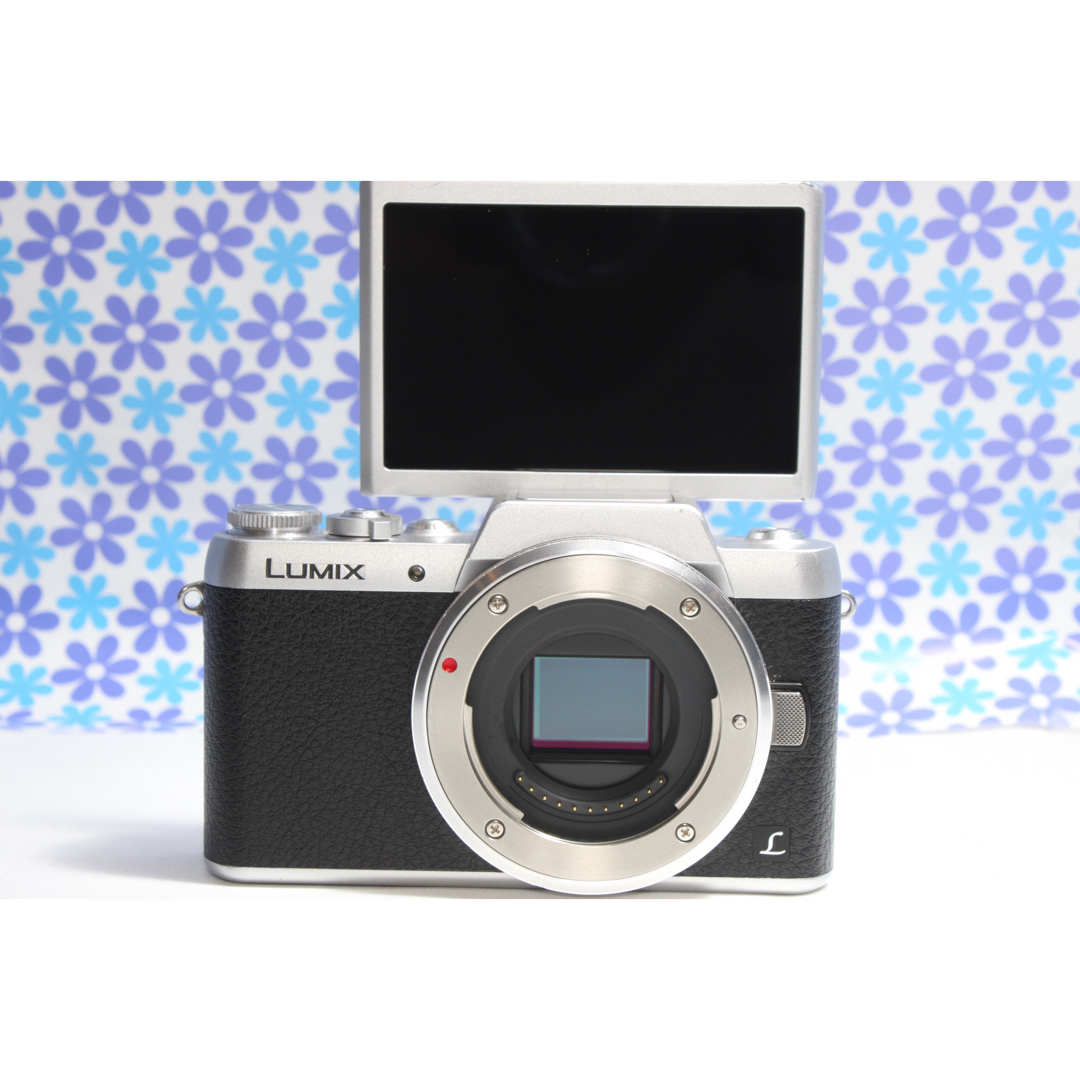 Wi fi内蔵LUMIX DC GF9高画質動画撮影お散歩カメラ