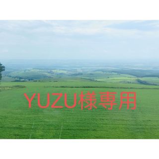 YUZU様専用(その他)