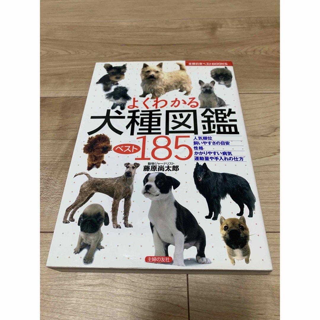 よくわかる犬種図鑑ベスト185 エンタメ/ホビーの本(その他)の商品写真