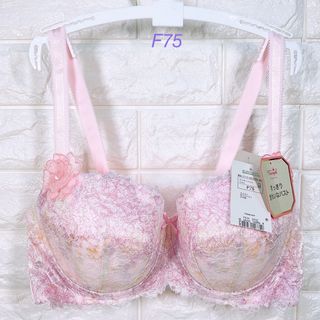 トリンプ(Triumph)のトリンプ　プレミアム　レッドレーベル0088  ブラジャー　F75(ブラ)