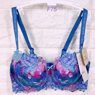 トリンプ(Triumph)のトリンプ　プレミアム　レッドレーベル0088  ブラジャー　F75(ブラ)