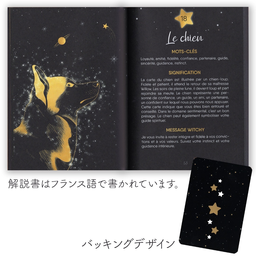 ✨訳あり✨オラクルカードサイズ！フランスで製作された現代的な