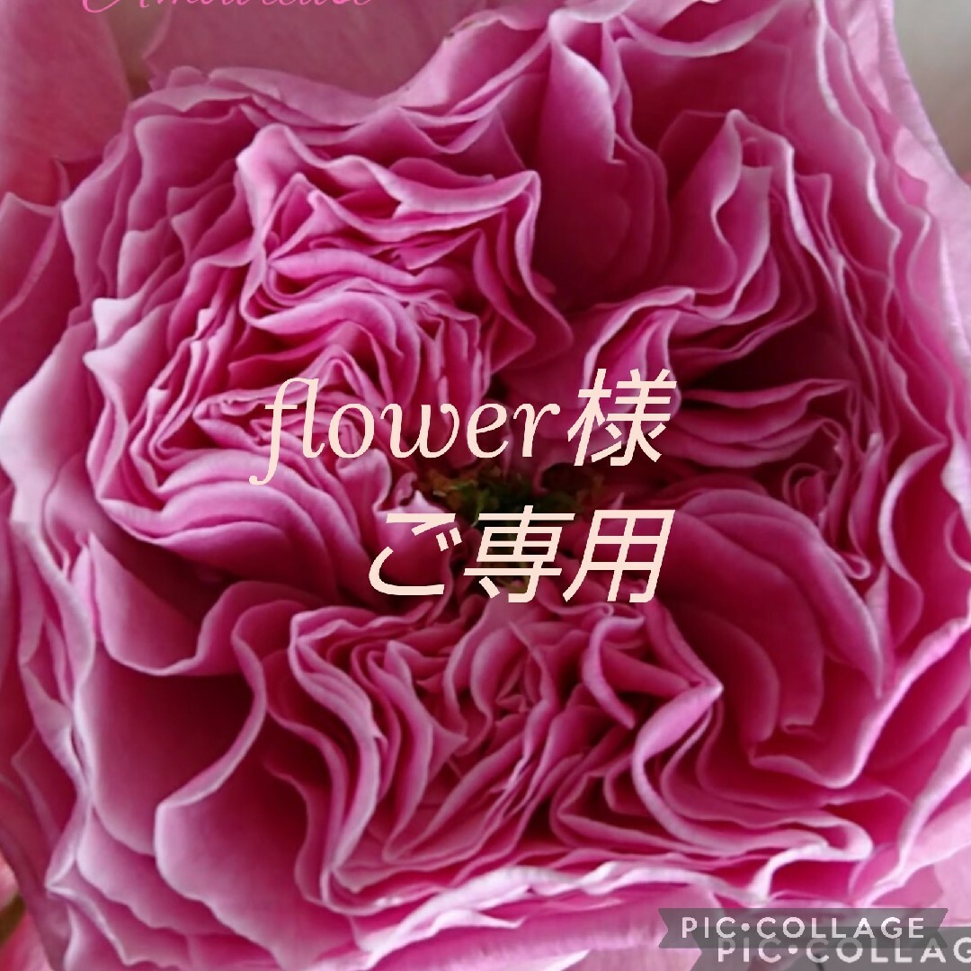 flower様 ご専用の通販 by MilkyWay｜ラクマ