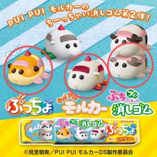 ユーハミカクトウ(UHA味覚糖)の【⭐︎くるみ⭐︎様】 ぷっちょワールド PUI PUI モルカー 第2弾 (キャラクターグッズ)