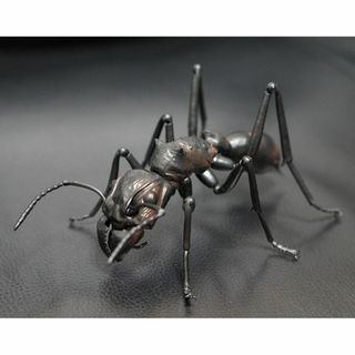 いきもの大図鑑　あり　パラポネラ(その他)