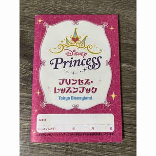 ディズニーランド　プリンセスブック(ノベルティグッズ)