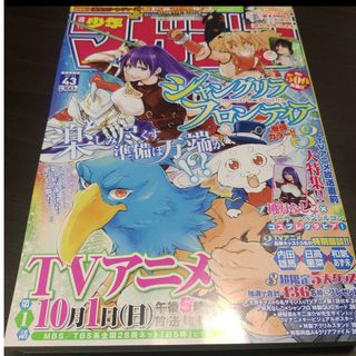 コウダンシャ(講談社)の週刊少年マガジン   43号   応募券無(少年漫画)