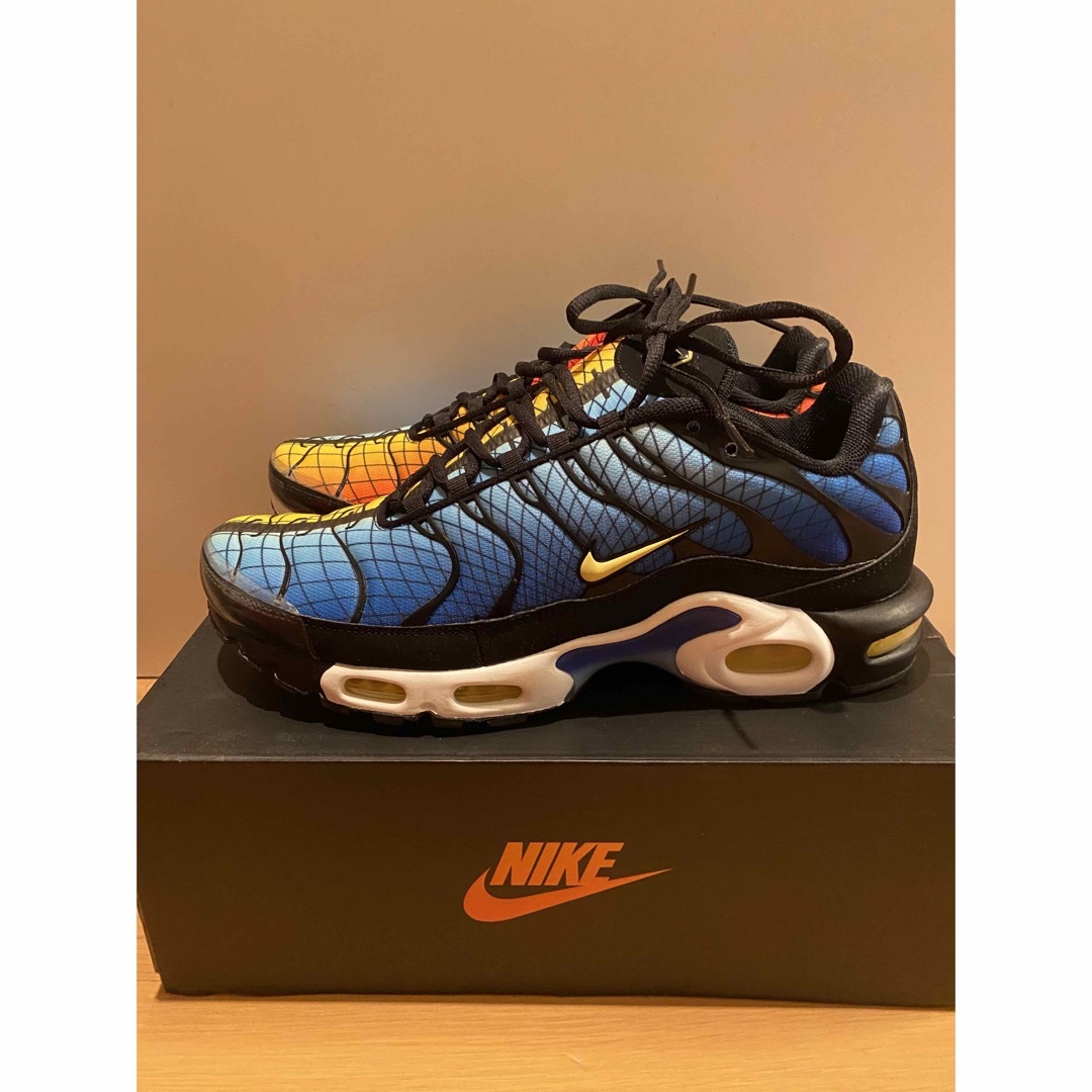 AIR MAX PLUS "Greedy"  US11 / 29.0cm