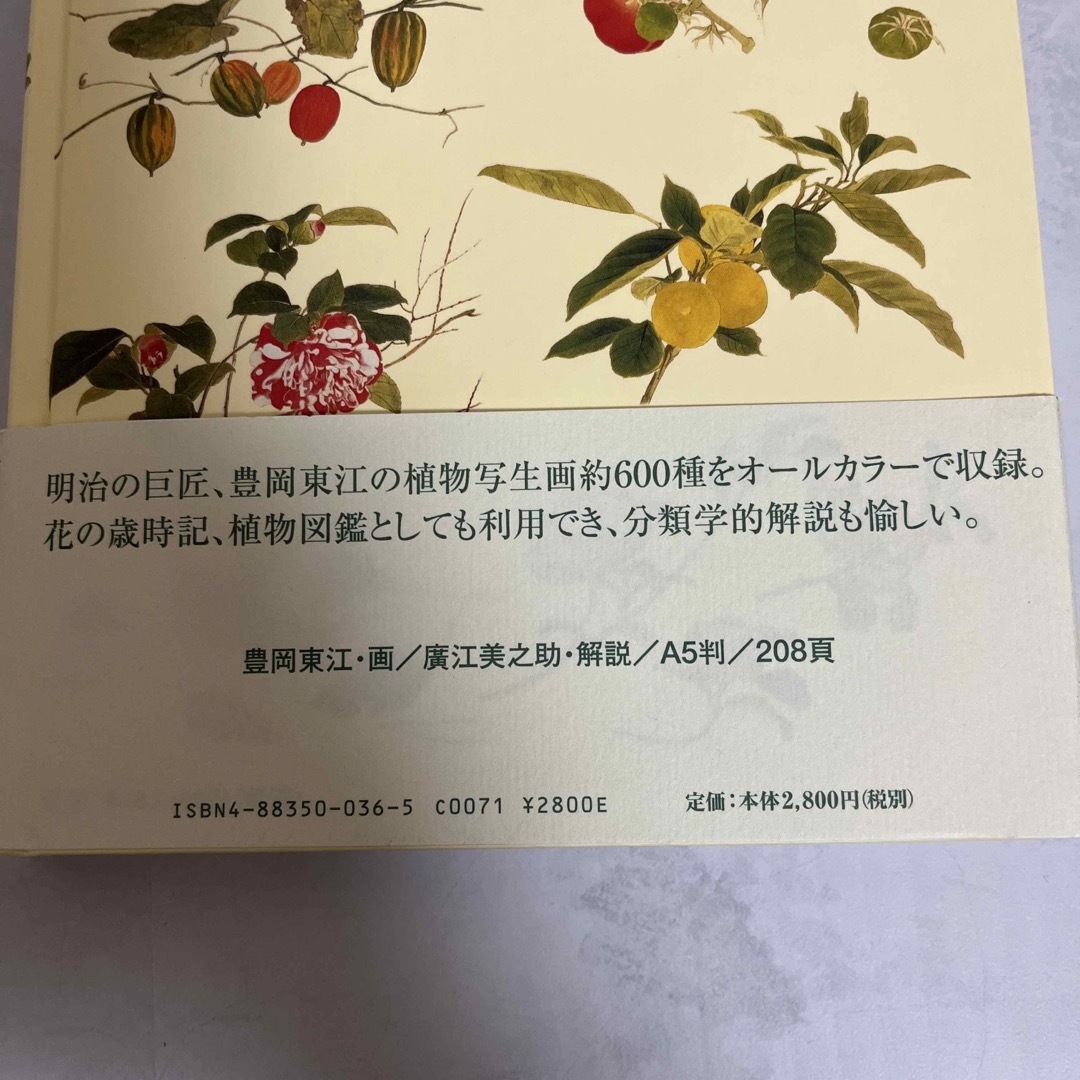 花時　豊岡東江　画 エンタメ/ホビーの本(アート/エンタメ)の商品写真